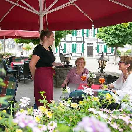 فندق Zur Alten Quelle 3*